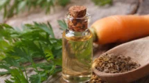 Carrot Seed Oil